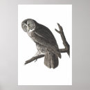 Search for audubon birds posters Animal