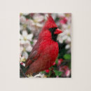 Search for red cardinal bird puzzles Male
