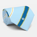 Search for houston ties United states