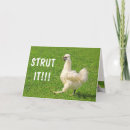 Search for strut cards Rooster