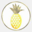 Search for watercolor pineapple stickers Modern