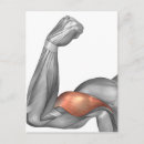 Search for joint postcards Healthcare