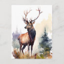 Search for antler postcards Stag