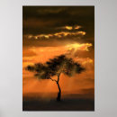 Search for lonely tree posters Clouds
