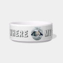 Search for napping pet supplies Cute