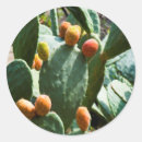 Search for prickly pear stickers Botanical