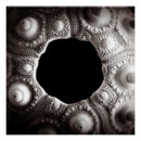 Search for 20x20 posters Wall