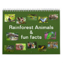 Search for frogs office supplies Rainforest