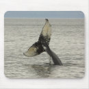 Search for humpback mouse mats Usa