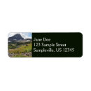 Search for stream return address labels Mountain