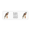 Search for hawk return address labels Bird of prey