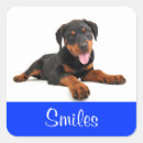 Search for rottweiler dog stickers Puppy