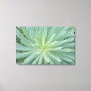 Search for four leaf canvas prints Plant