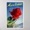 Search for mountain rose posters Flower