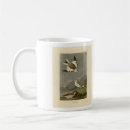 Search for john james audubon mugs Illustration
