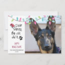 Search for dog sayings cards For pets