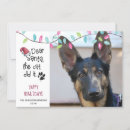 Search for dog sayings cards Humour