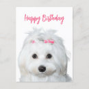 Search for tender postcards Cute