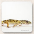 Search for crawl barware Animal