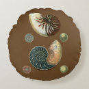 Search for shell cushions Ocean
