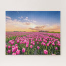 Search for holland tulips puzzles Nature
