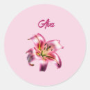 Search for asiatic stickers Elegant