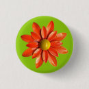 Search for orange daisy badges Flowers