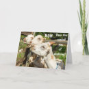 Search for daughter from mother birthday cards Funny