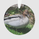 Search for wood duck christmas tree decorations Wildlife