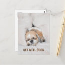 Search for dog sleeping cards Cute