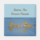 Search for sister magnets Best friends