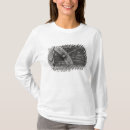 Search for comet clothing Stars