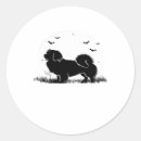 Search for tibetan spaniel stickers Dog