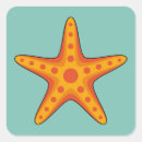 Search for orange starfish stickers Sea