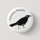 Search for common badges Bird