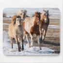 Search for herding mouse mats Ranch