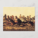 Search for rancher postcards Western