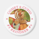 Search for comet magnets Reindeer