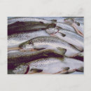 Search for sashimi horizontal postcards Fish