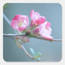 Search for apples stickers Summer