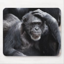 Search for chimpanzee mouse mats Primates