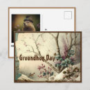 Search for groundhog day Nature