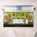Search for funny squirrel electronics Squirrels