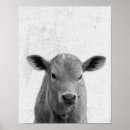Search for cow nursery art Farm animal