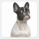 Search for 5 month stickers Animal