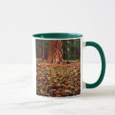 Search for old growth forest mugs America