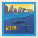 Search for dolphin group Anderson design group