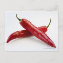 Search for chilli horizontal postcards Vegetable