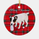 Search for jack russel terrier christmas tree decorations Jrt