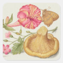Search for vintage scene stickers Nature